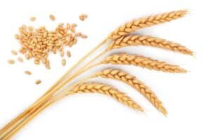 3 Reasons to Go Easy on Gluten - Compounding Pharmacy