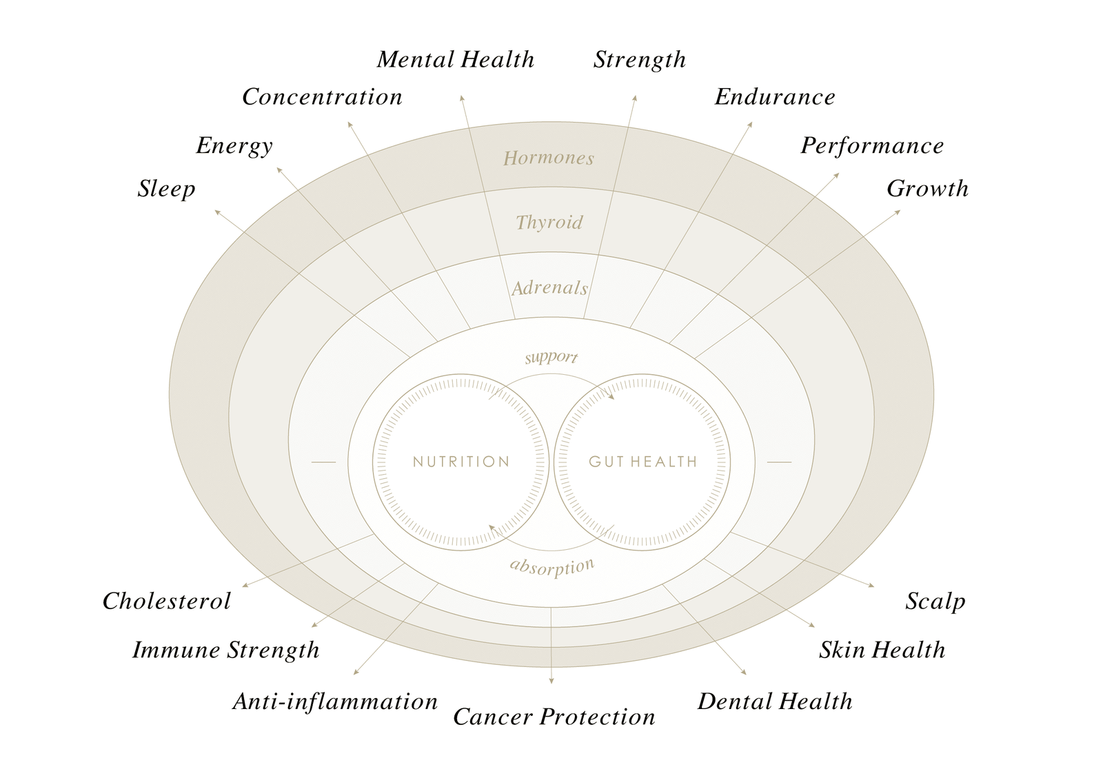 Home - Compounding Pharmacy