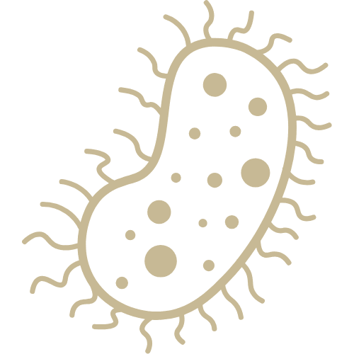 Supplement Injections - Compounding Pharmacy