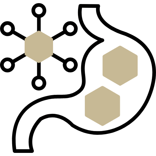 Gut Health - Compounding Pharmacy