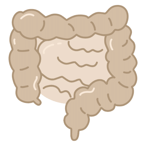 Gut Health - Compounding Pharmacy